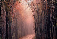 快船客场击败森林狼，豪取两连胜