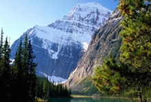 捷克国籍球员在法兰克福队表现抢眼