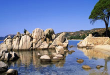 捷克国籍球员在法兰克福队表现抢眼