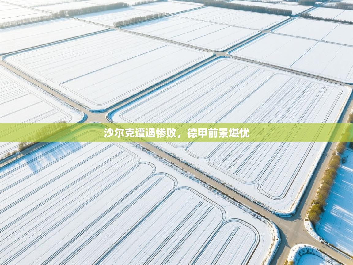 沙尔克遭遇惨败，德甲前景堪忧  第1张