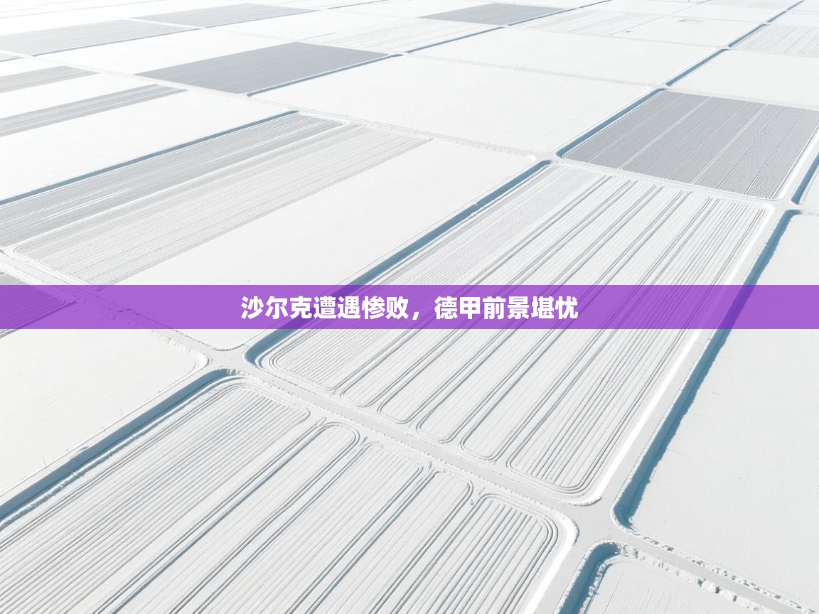 沙尔克遭遇惨败，德甲前景堪忧  第2张